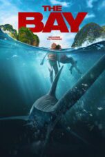 The Bay (2026)
