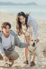Drama Korea Lovestruck in the City (END) Subtitle Indonesia